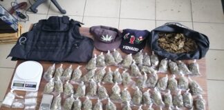 Asegura Fiscalía droga y vehículos en Valles Centrales