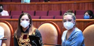 Asume diputada Elim Antonio coordinación en la Junta de Coordinación Política