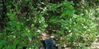 Identifican a joven asesinada en Juchitán