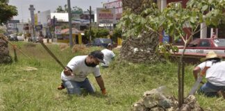 Culmina el programa “Labor Comunitaria” del Ayuntamiento de Oaxaca de Juárez