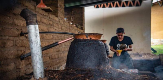 Mezcal oaxaqueño, el destilado que frenó la migración