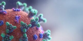 OMS revisa propagación del Covid-19 por vía aérea tras artículo del NYT