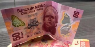 Por desempleo, retiros de pensiones alcanzan su máximo histórico