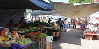 Reactivan tianguis en la colonia Reforma