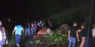 Lluvias dejan derrumbes en carretas de la Costa