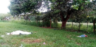 Localizan dos ejecutados en Loma Bonita