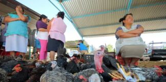 Suspenden baratillo y tianguis en Miahuatlán