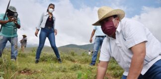 Inicia Diputado Horacio Sosa Jornada de reforestación en Valles Centrales