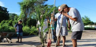 Continúan jornadas de reforestación por la Costa oaxaqueña