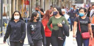 Propóleo auxilia contra covid-19; UNAM hace estudio preliminar