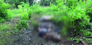 Encuentran 2 cuerpos en límites de Veracruz y Oaxaca