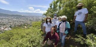 Dona Ayuntamiento 120 árboles para reforestar perímetro de la colonia Monte Albán