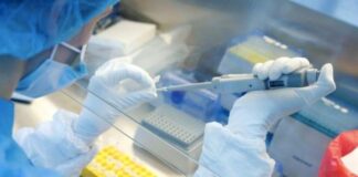 En Rusia se registra la primera vacuna contra COVID-19 en el mundo: Putin