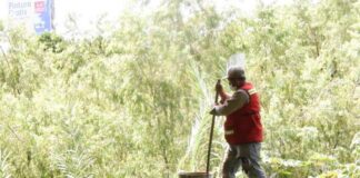 Continúan acciones de mantenimiento en sistema sanitario de la ciudad: SAPAO