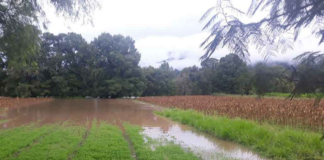 Se desborda río en Sola de Vega