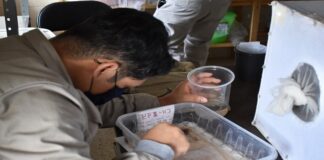 Inaugura SSO Unidad de Investigación Entomológica en Etla