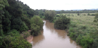 Se desborda río “Tolosita” en Matías Romero