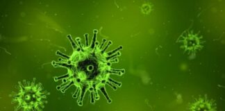 FDA de EEUU autoriza uso de plasma sanguíneo para tratar Covid-19