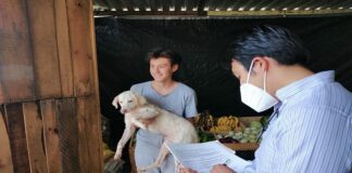 Garantiza Ayuntamiento de Oaxaca una mejor calidad de vida a canino maltratado