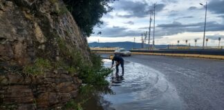 Atiende Protección Civil de Oaxaca de Juárez afectaciones por lluvia