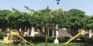 Autoridades talan árbol ‘Memorial del 7 de septiembre’ en Unión Hidalgo, Oaxaca