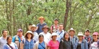 Becarán otro año más a ‘ninis’; Programa de Jóvenes será por dos años