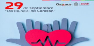 Hipertensión arterial, factor de riesgo para enfermedades cardiovasculares: SSO