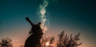 Oaxaca, entre los destinos para celebrar Día de Muertos en México