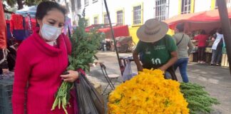 Inflación anual llegó a 4.10% a inicios de septiembre: Inegi