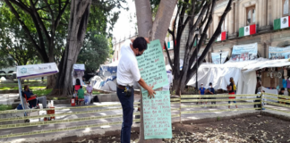 Denuncian ambientalistas falta de atención al arbolado de la capital