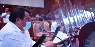 Diputados Locales piden al Congreso de la Unión garantizar recursos para combatir plagas