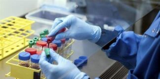 Pausan pruebas de vacuna de AstraZeneca y Oxford