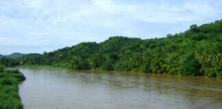 Activa CEPCO protocolo de búsqueda por persona desaparecida en la Costa