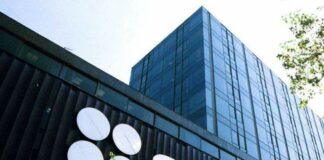 Gobiernos de Calderón y Peña Nieto condonaron impuestos por más de 413,000 millones de pesos: SAT