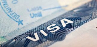 Cambio en visas E-1 y E-2, gran oportunidad para inversionistas mexicanos en EU
