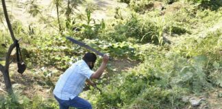 Lleva Ayuntamiento de Oaxaca tequio ciudadano a las colonias Azucenas y Guelaguetza