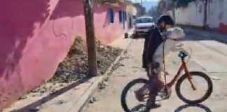 Captan en video a un perro montando bicicleta en calles de Oaxaca