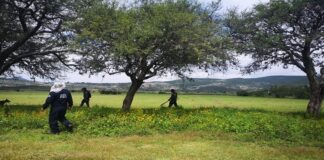 Inician operativo de búsqueda de personas desaparecidas en la Mixteca