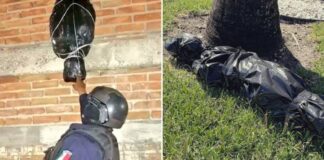 Narco cultura en México: adornos de decapitados para Halloween provocaron indignación