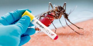 Van 6 defunciones por dengue en Oaxaca