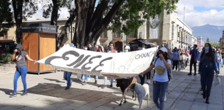 Marchan normalistas para exigir cancelación de clases virtuales