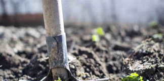 En Huajuapan, localizan cadáver de mujer enterrado en su domicilio