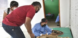 Continúa Ayuntamiento de Oaxaca de Juárez con las jornadas de esterilización animal