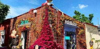 Cancela Seculta Concurso de Decoración de Fachadas 2020