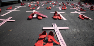 Van 83 feminicidios en lo que va del año, alertan ONG´s