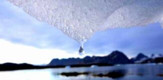 La pérdida de hielo de Groenlandia este siglo supera la de 12 mil años