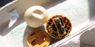 Científicos crean huevos falsos con GPS para combatir el tráfico ilegal de tortugas en Costa Rica