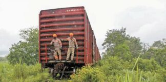 Tren Maya costará 17 mil mdp más de lo que se estimaba en enero