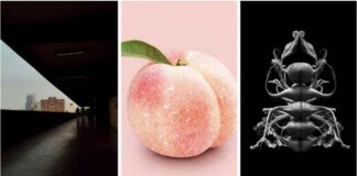 México, semillero de talentos de la fotografía lationamericana