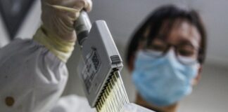 Pagó México 159.8 mdd de anticipo por vacuna Covax